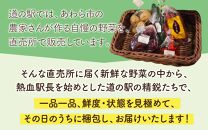 【定期便9回】道の駅駅長チョイス！ 旬の野菜セット 5品目以上 / 季節 野菜 ボックス BOX セット セレクト 農家 おまかせ 多品目 旬 詰め合わせ 根菜 葉物