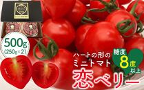 秋田県産ミニトマト「恋ベリー」 500gギフトBOX 高糖度 とまと 野菜 新鮮 甘い
