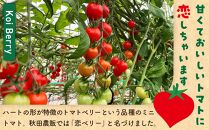 秋田県産ミニトマト「恋ベリー」 500gギフトBOX 高糖度 とまと 野菜 新鮮 甘い