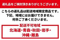 【訳あり】天然 活伊勢海老 約2kg（ 5～10尾 大きさ 不揃い ）南紀黒潮イセエビ 年末年始 お正月 お届け可【着日指定必須】｜ 期間限定 漁師直送 海鮮 海老 とれたて 人気