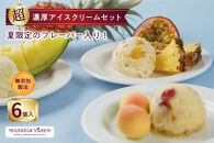 ハンデルスベーゲン 無添加アイスクリーム / 季節の６個セット【夏】季節限定 メロン 梅 パイン 北海道牛乳 マカダミアキャラメルココナッツ チョコミント