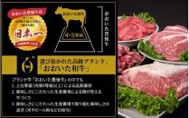 【A4～A5等級】小分けで便利！ おおいた和牛 切り落とし 1kg (250g×4P)_2436R