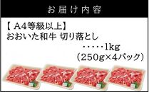 【A4～A5等級】小分けで便利！ おおいた和牛 切り落とし 1kg (250g×4P)_2436R