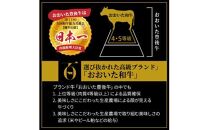 【A4～A5等級】希少部位をお試し! おおいた和牛 ミスジ ステーキ 100g×2枚 （合計200g）_2437R