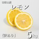 和歌山産 レモン 5kg  【訳あり】 【US1】