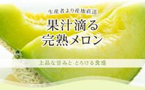 【お中元/熨斗あり】高知県南国市産／贈答用マスクメロン（2個）【お中元 ギフト メロン マスクメロン フルーツ 果物 くだもの 食品 デザート 高評価 厳選 高級 ギフト 贈り物 人気 おすすめ 】