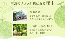 【お中元/熨斗あり】高知県南国市産／贈答用マスクメロン（2個）【お中元 ギフト メロン マスクメロン フルーツ 果物 くだもの 食品 デザート 高評価 厳選 高級 ギフト 贈り物 人気 おすすめ 】