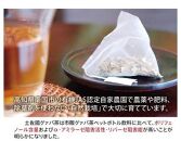 【お中元/熨斗あり】国産有機栽培グァバ葉100％使用 土佐國グァバ茶（2g×30包）【お茶 飲料 健康茶 国産 漢方   人気 おすすめ 高知県 南国市】