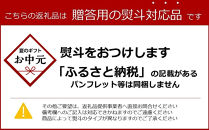 【お中元ギフト】ギフト詰め合わせ&nbsp;カフェオレベース２本（無糖＆加糖&nbsp;各１本&nbsp;600ml&nbsp;瓶）スペシャルティコーヒー
