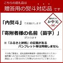 【お中元ギフト】マイボトル用 水出しコーヒーバッグ  14袋（個包装タイプ）