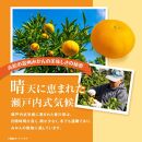 内容量が選べる&nbsp;瀬戸内温州みかん　厳選高糖度【2026年10月上旬～2027年1月中旬配送】