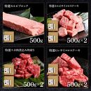 熟成肉　土佐和牛詰め合わせ8種Bセット　田野屋銀象完全天日塩付き