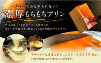 名古屋コーチン&nbsp;卵プリン&nbsp;プレーン&nbsp;16切&nbsp;／約24g×8切×2セット