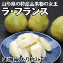 山形特産・果物の女王【西洋梨】ラ・フランス約3kg（7～9玉入り）化粧箱入＜庄内い～ものや＞