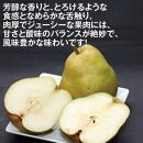 山形特産・果物の女王【西洋梨】ラ・フランス約3kg（7～9玉入り）化粧箱入＜庄内い～ものや＞