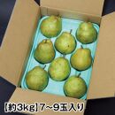 山形特産・果物の女王【西洋梨】ラ・フランス約3kg（7～9玉入り）化粧箱入＜庄内い～ものや＞