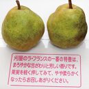 山形特産・果物の女王【西洋梨】ラ・フランス約3kg（7～9玉入り）化粧箱入＜庄内い～ものや＞