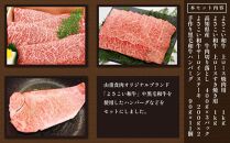 ＜お中元＞ 上ランク　牛肉詰め合わせセット(計　約4.5kg)｜山重食肉