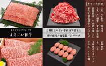 ＜お中元＞ 牛肉　いろどりセット　切り落とし・すき焼き・焼肉・ハンバーグ｜山重食肉