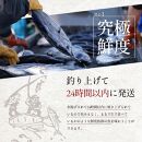 ＜お中元＞ 高知県産 鰹と天然ブリ 藁焼きたたき  食べ比べセット 約600g（各約300g）
