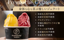 【プレマルシェ・ジェラテリア】国際コンテスト入賞店の人気ジェラート6種食べ比べ&nbsp;Non-Milk&nbsp;set｜京都&nbsp;ジェラート専門店&nbsp;贅沢&nbsp;ご褒美&nbsp;[&nbsp;ナチュラルジェラート&nbsp;カラダに優しい&nbsp;ノンミルク&nbsp;おいしい&nbsp;子どもも安心&nbsp;グルメ&nbsp;おすすめ&nbsp;お菓子&nbsp;洋菓子&nbsp;アイス&nbsp;スイーツ&nbsp;ギフト&nbsp;プレゼント&nbsp;贈答&nbsp;お取り寄せ&nbsp;通販&nbsp;送料無料&nbsp;ふるさと納税&nbsp;]
