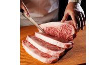 鳥取和牛オレイン55　サーロインステーキ　2枚（500g）1288｜鳥取和牛 肉 お肉 にく ステーキ 食品 鳥取県産 人気 おすすめ 送料無料 ギフト 鳥取県 三朝町