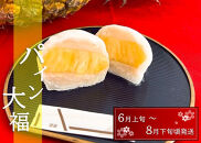 【夏季限定】パイン大福 10個入