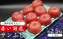 奥州市産りんご  赤い誘惑「サンふじ」約2.5kg　7-10玉 JA岩手ふるさと