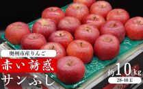 奥州市産りんご  赤い誘惑「サンふじ」約10kg　28-40玉 JA岩手ふるさと