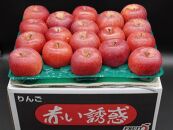 奥州市産りんご  赤い誘惑「サンふじ」約10kg　28-40玉 JA岩手ふるさと