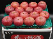 奥州市産りんご  赤い誘惑「サンふじ」約10kg　28-40玉 JA岩手ふるさと