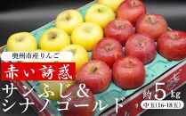 奥州市産りんご　赤い誘惑「サンふじ＆シナノゴールド」 中玉約5kg　16－18玉 JA岩手ふるさと