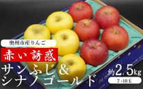 奥州市産りんご  赤い誘惑「サンふじ＆シナノゴールド」約2.5kg　8-10玉 JA岩手ふるさと