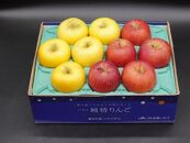 奥州市産りんご  赤い誘惑「サンふじ＆シナノゴールド」約2.5kg　8-10玉 JA岩手ふるさと