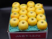 奥州市産りんご  赤い誘惑「シナノゴールド」約5kg　16－20玉 JA岩手ふるさと