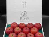 奥州市産りんご 赤い誘惑「サンふじ」化粧箱 約5kg　14－20玉 JA岩手ふるさと