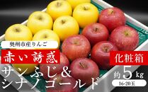 奥州市産りんご 赤い誘惑「サンふじ＆シナノゴールド」 約5kg　16－20玉 贈答用 化粧箱 JA岩手ふるさと　