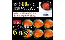 【10月発送】北海道産 いくら（鮭卵）醤油漬け 大容量500g(250g×2パック) 国産 小分けパック イクラ 海鮮丼 ギフト 贈り物 魚介類 魚介 海産物 鮭 シャケ しゃけ 生産者 支援 応援