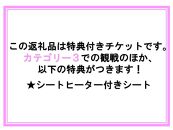 ラリージャパン【豊田スタジアムSSS観戦券カテゴリー３指定席】11月21日（木）