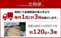 【3回定期便】極上国産うなぎ四万十桜　白焼き3尾セット×3回　ちょうどぼっちりサイズです