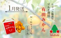 有田川町後継者応援定期便 1月発送 ちょっと傷あり 有田みかん2kg と 2月発送 天然醸造醤油＆特製だしぽん酢 【南泰園・カネイワ醤油】