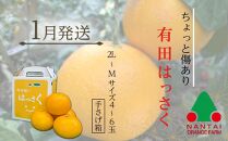 有田川町後継者応援定期便 1月発送 ちょっと傷あり 八朔（4～6玉） と 2月発送 天然醸造醤油＆特製だしぽん酢 【南泰園・カネイワ醤油】