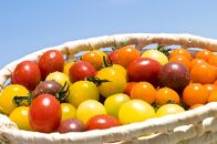 【2026年発送分先行予約】角田産&nbsp;新鮮！カラフル&nbsp;ミニトマト&nbsp;１kg【2026年6月上旬より順次】