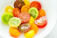 【2026年発送分先行予約】角田産&nbsp;新鮮！カラフル&nbsp;ミニトマト&nbsp;１kg【2026年6月上旬より順次】