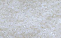 令和７年産「五つ星お米マイスター」の南魚沼塩沢産コシヒカリ　精米２kg×３回（毎月定期便）