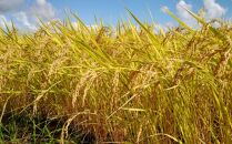 令和７年産「五つ星お米マイスター」の南魚沼塩沢産コシヒカリ　精米４kg（２kg×２個）×３回（毎月定期便）