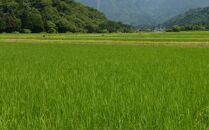 令和７年産「五つ星お米マイスター」の南魚沼産コシヒカリ　精米5kg×12回（毎月定期便）