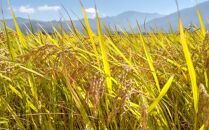 令和７年産「五つ星お米マイスター」の南魚沼産コシヒカリ　精米5kg×12回（毎月定期便）