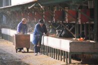 ＜A4ランク＞鹿児島県産黒毛和牛モモすき焼き用(計600g・300g×2P)）