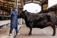 ＜A4ランク＞鹿児島県産黒毛和牛サーロインステーキ(計360g・180g×2枚)